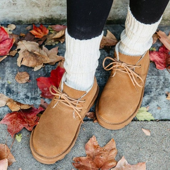 Bearpaw Skye Tan Suede Shearling Lined Lace Up Ankle Boots NWOB - Picture 1 of 16